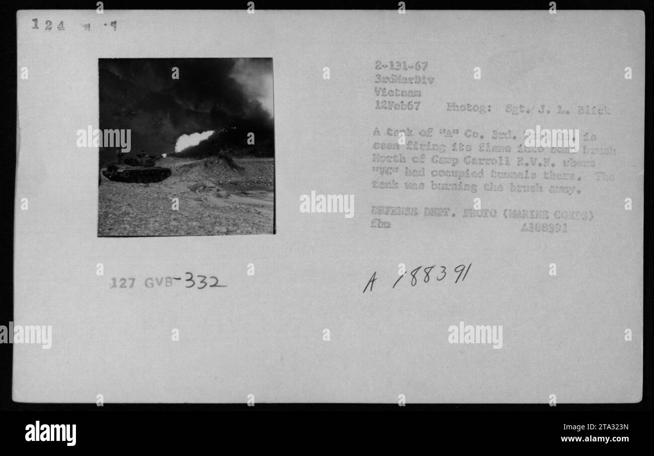 'A tank from 'A' Co., 3rd Tank Battalion, is seen firing flames into dense brush north of Camp Carroll R.V. in Vietnam on February 12, 1967. The tank was clearing occupied tunnels by burning the brush. This photograph was taken by Sgt. J.I. Blick and is a Defense Dept. photo (Marine Corps). #332' Stock Photo