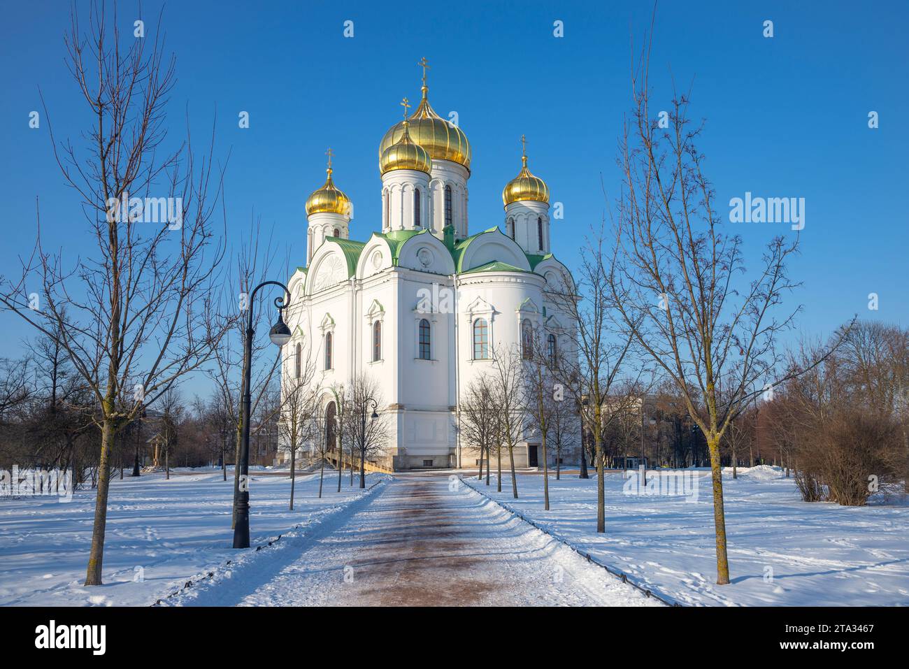 Cathedral of St. Catherine the Great Martyr. Tsarskoye Selo (Pushkin), Russia Stock Photo