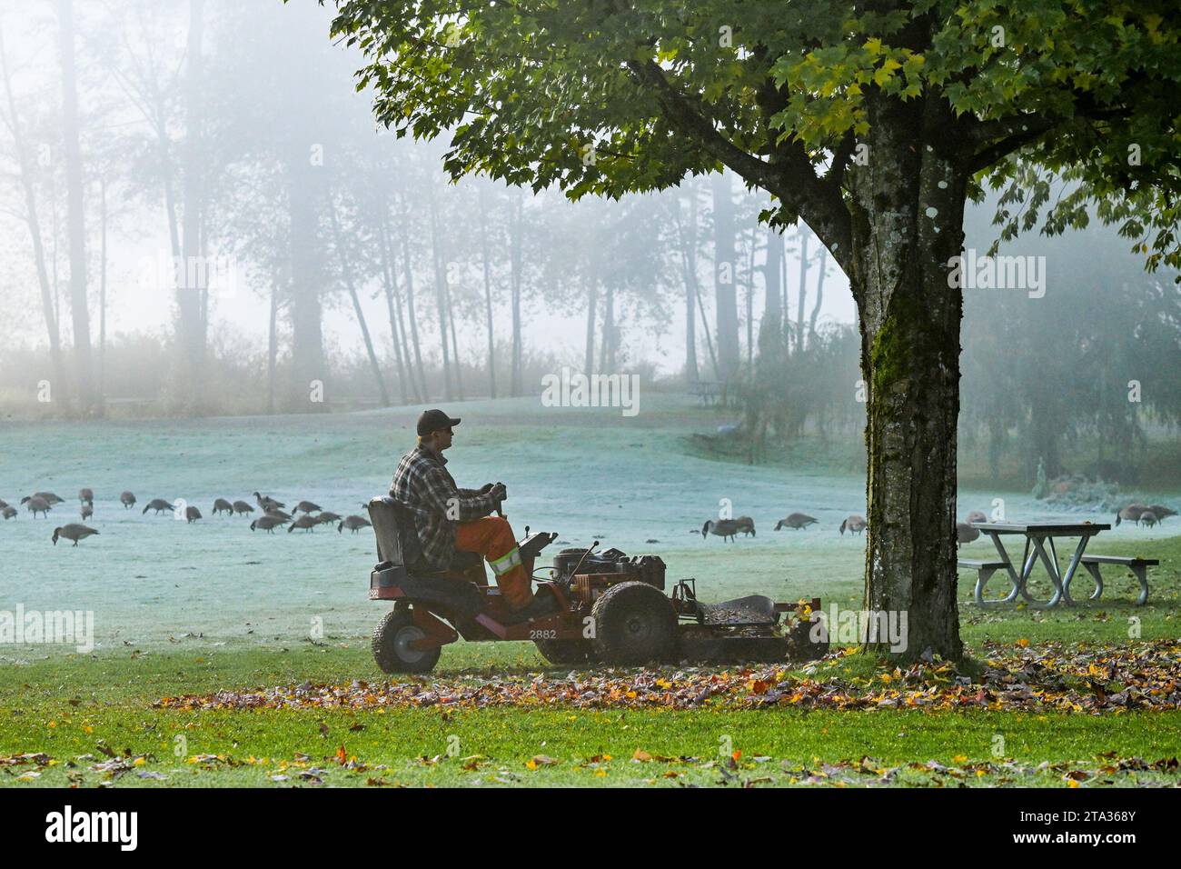 Riding lawn mower with leaf mulcher hotsell
