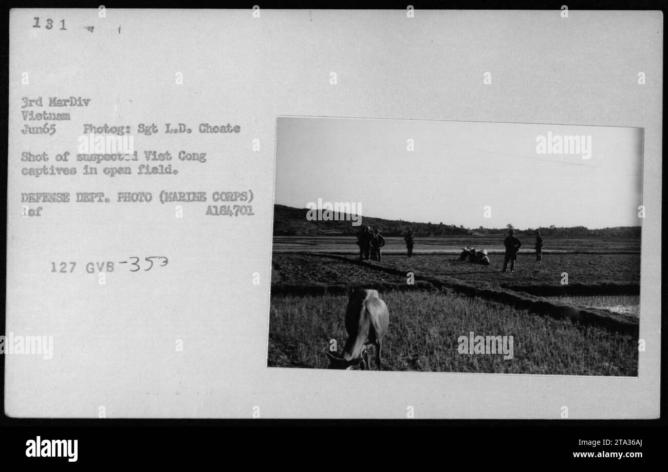 Image shows suspected Viet Cong captives being held in an open field ...