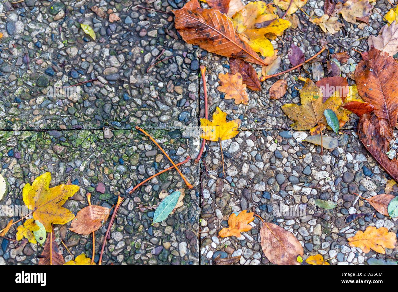 Peel And Wall Renovationsfolie - Holzoptik PVC 45x1000cm Selbstklebend