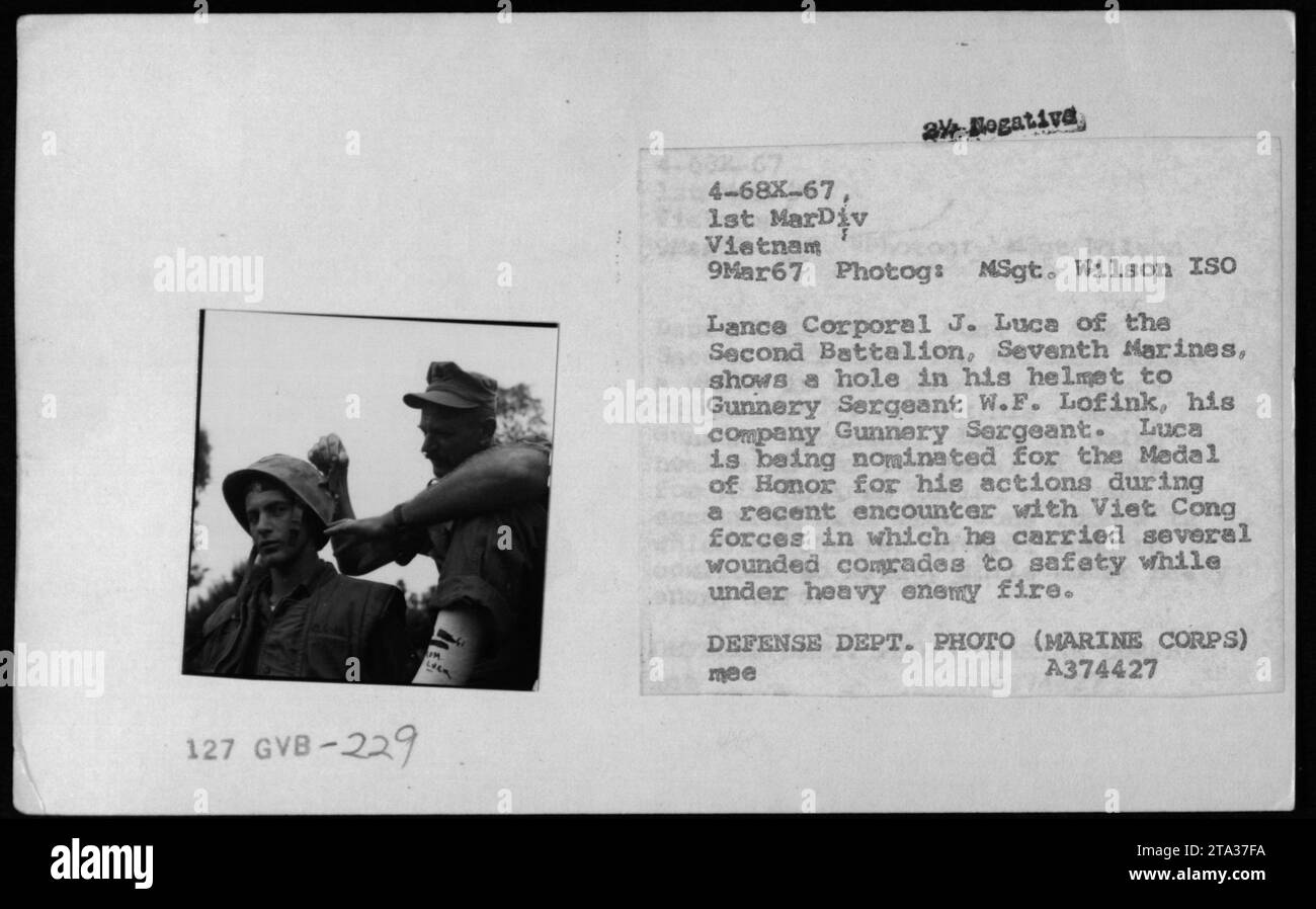 Cw2 Louis R Rocco ISO Lance Corporal J. Luca of the Second Battalion, Seventh Marines ...