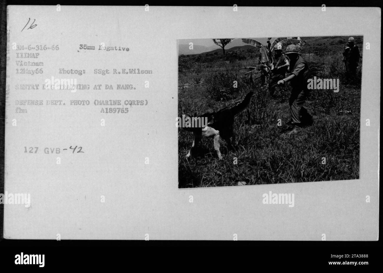 Vietnam war training exercises hi-res stock photography and images - Alamy