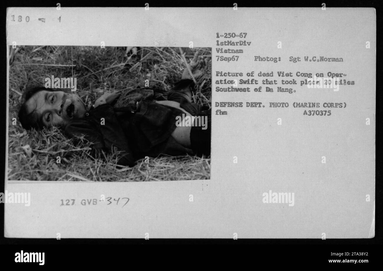 Photograph taken on September 7, 1967, during Operation Swift by Sgt W.C. Norman. The image shows a number of dead Viet Cong soldiers resulting from the operation that occurred 20 miles southwest of Da Nang. This photograph captures the grim reality of casualties during the Vietnam War. Stock Photo