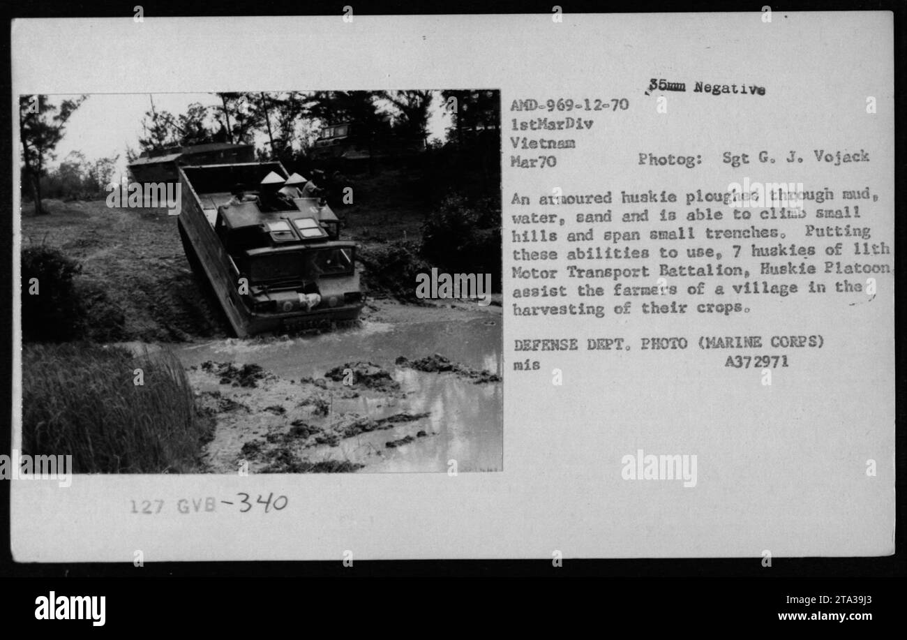 Military infrastructure in trenches Black and White Stock Photos ...