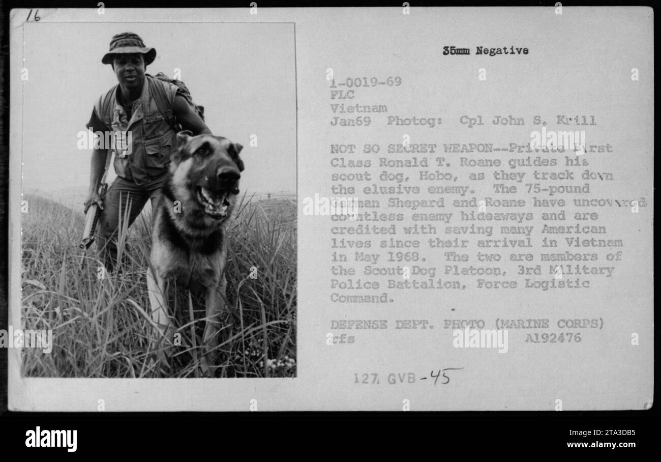 Private First Class Ronald T. Roane and his scout dog, Hobo, track down enemy targets during the Vietnam War in Jan 1969. Hobo, a 75-pound German Shepard, arrived in Vietnam in May 1968 and has helped uncover numerous enemy hideaways, saving many American lives. This photo was taken by Cpl. John S. Krill and is classified under the Defense Department. Stock Photo
