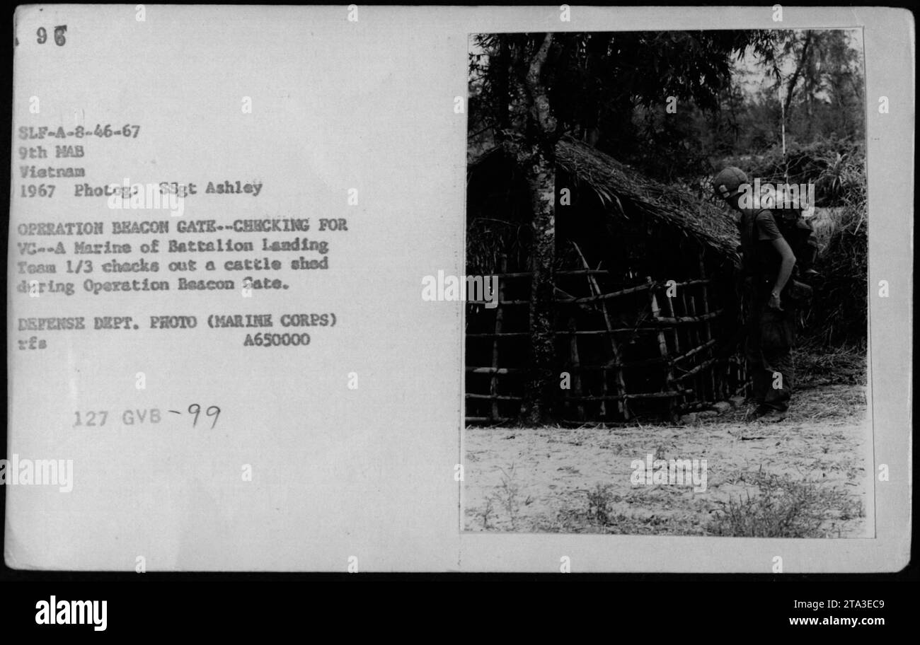 During Operation Beacon Gate in 1967, a Marine from Battalion Landing