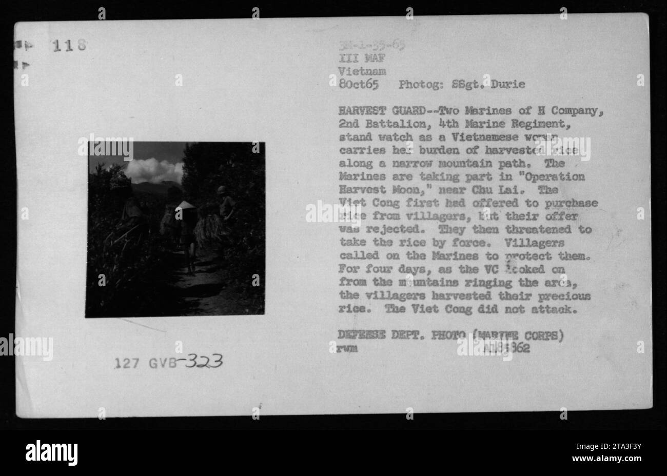Marines participate in 'Operation Harvest Moon' near Chu Lai during the Vietnam War. Two Marines from H Company, 2nd Battalion, 4th Marine Regiment, stand guard while a Vietnamese woman carries a load of harvested rice along a narrow mountain path. The Marines were called upon by the villagers to provide protection from the Viet Cong, who had threatened to forcibly take the rice. The threat subsided during the four-day operation as the villagers were able to safely harvest their crops. Stock Photo