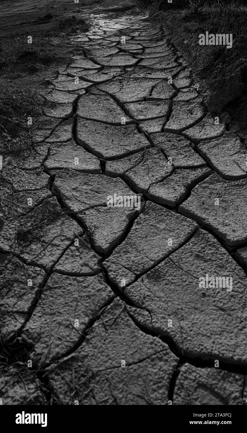 cracked earth black and white Stock Photo