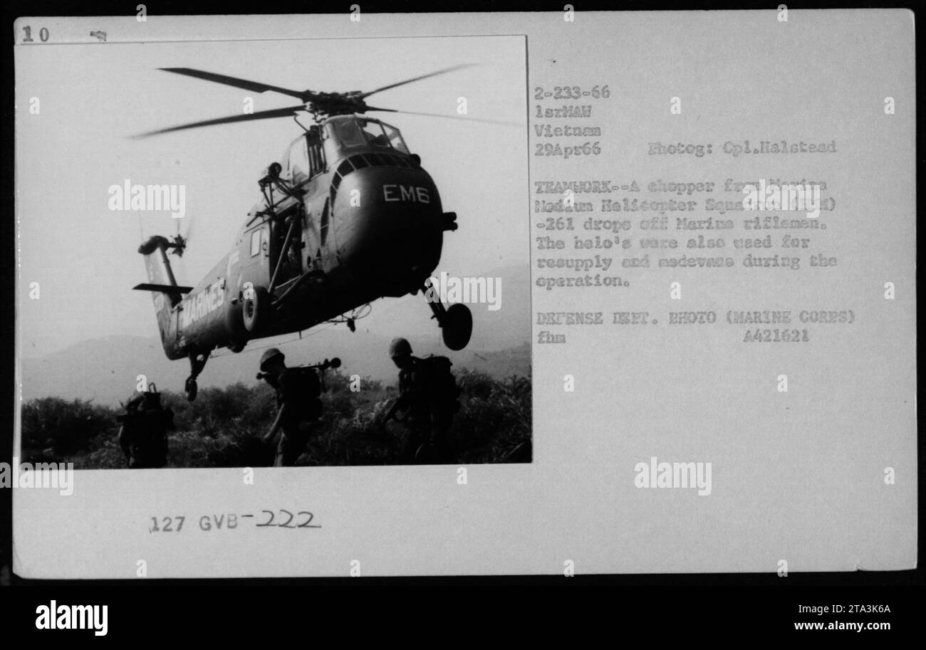 A UH-34 helicopter from Marina Mladium Helicopter Squadron (MM) -261 is seen dropping off riflemen from Marina during an operation on April 29, 1966 in Vietnam. The helicopters are often utilized for resupply and transportation purposes during military activities. Photograph taken by Opl. Halstead. Stock Photo