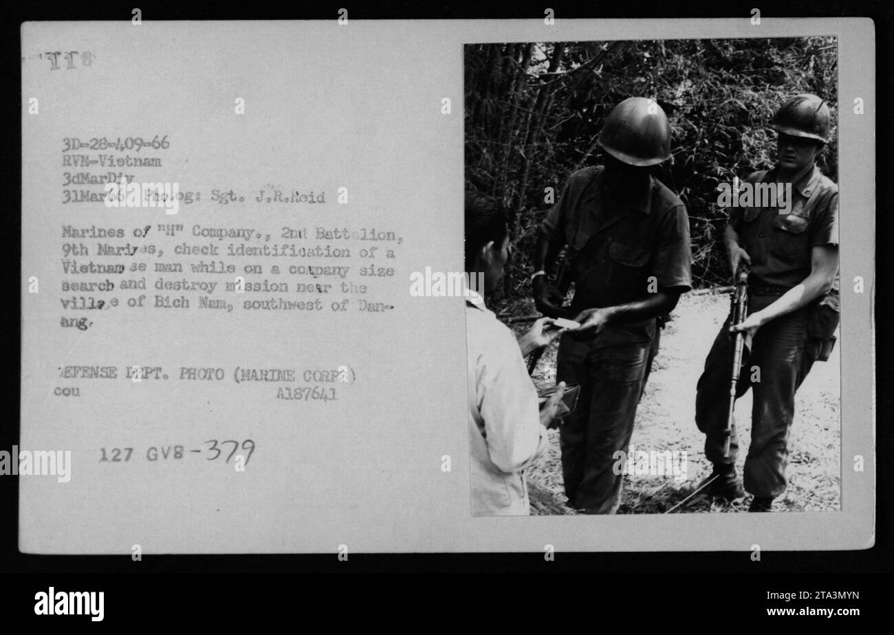 Marines of 'H' Company, 2nd Battalion, 9th Marines, check identification of a Vietnamese man during a search and destroy mission near the village of Bich Nam, southwest of Danang, Vietnam on March 31, 1966. The photo was taken by Sgt. J.R. Roid and is part of the Defense Department's collection. Stock Photo