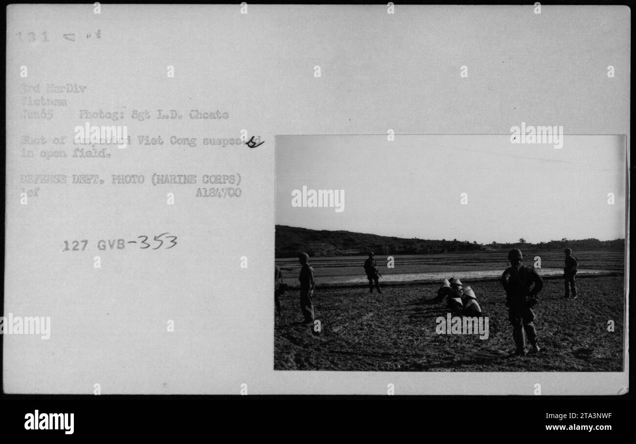 A photograph captured in June 1965 shows a suspected Viet Cong individual standing in an open field. The image was taken by Sergeant L.D. Choate and is part of the documentation of American military activities during the Vietnam War. This picture was classified by the Defense Department as 127 GVB-353, belonging to the 3rd HarDiv Victron. Stock Photo