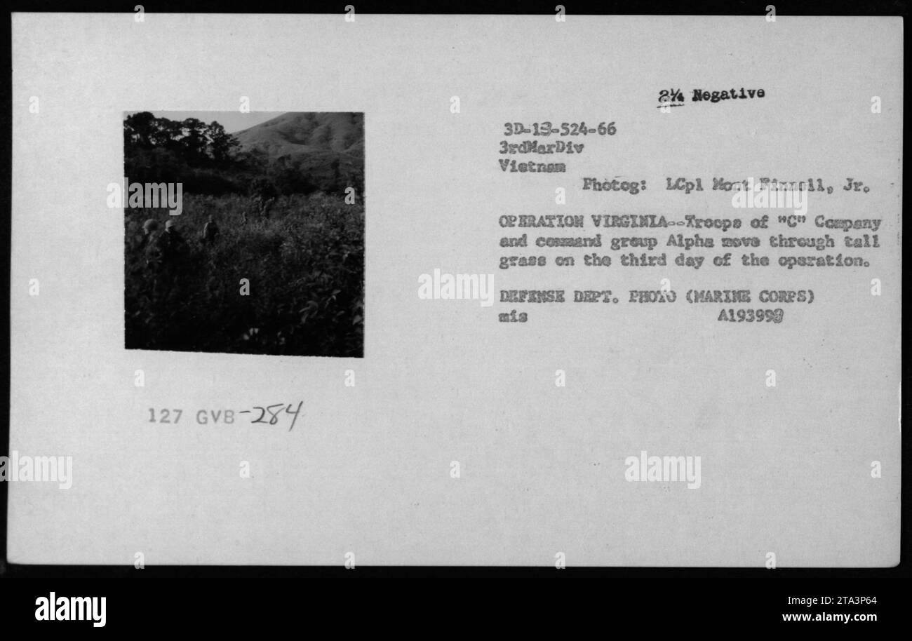 Troops from "C" Company and command group Alpha move through tall grass