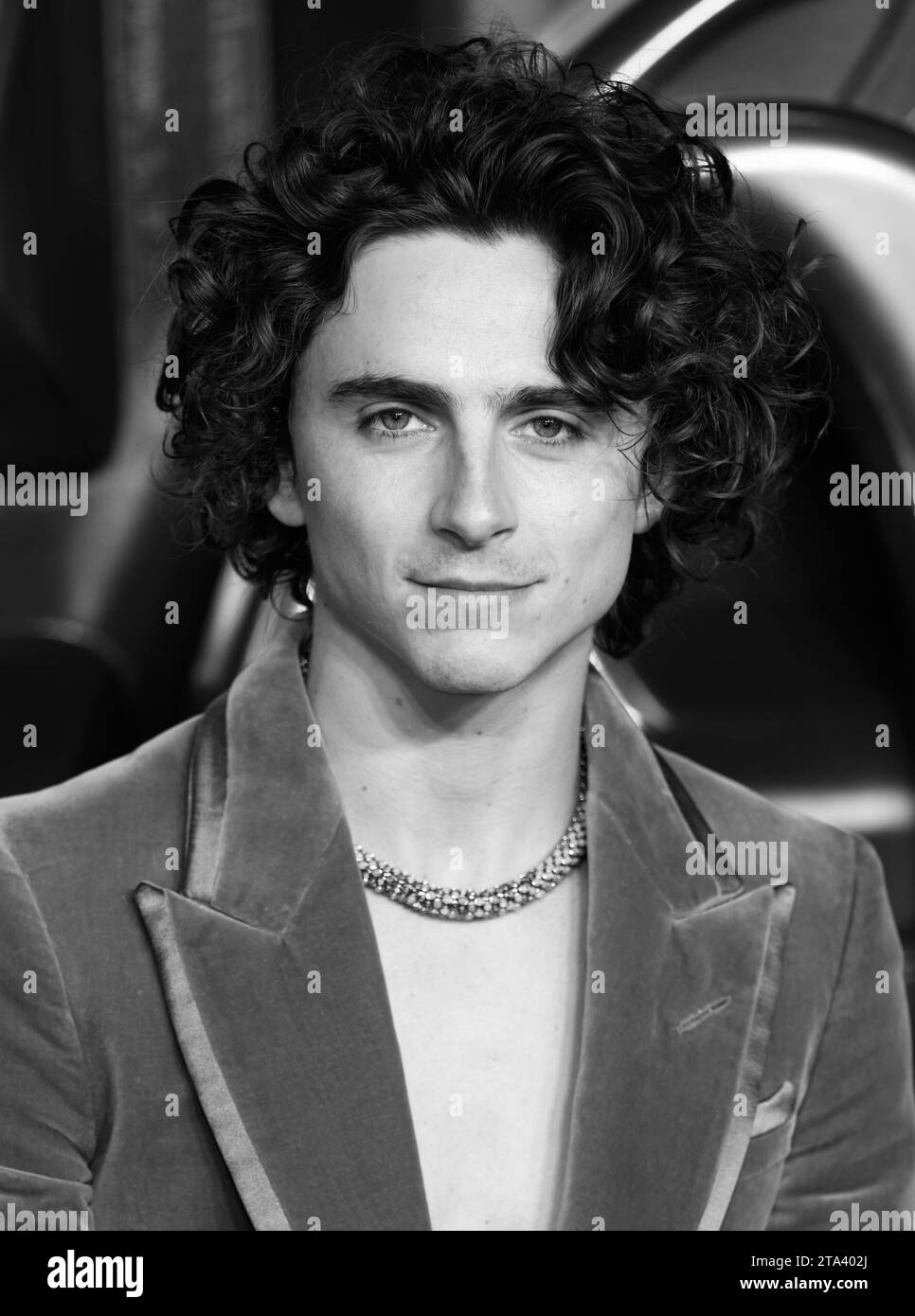 timothee-chalamet-2023-black-and-white-stock-photos-images-alamy
