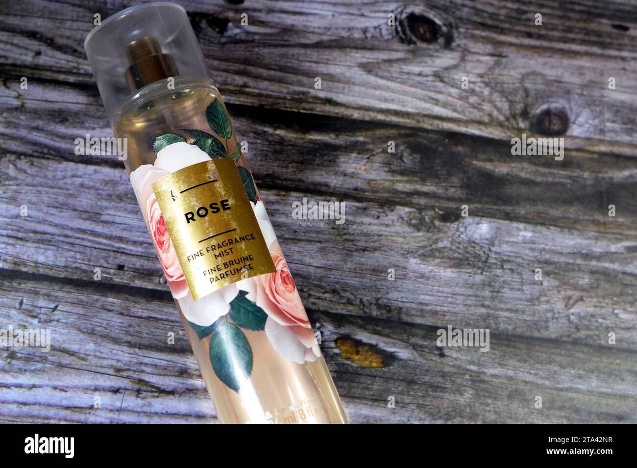 Cairo, Egypt, November 9 2023 Rose by Bath and Body works Fine