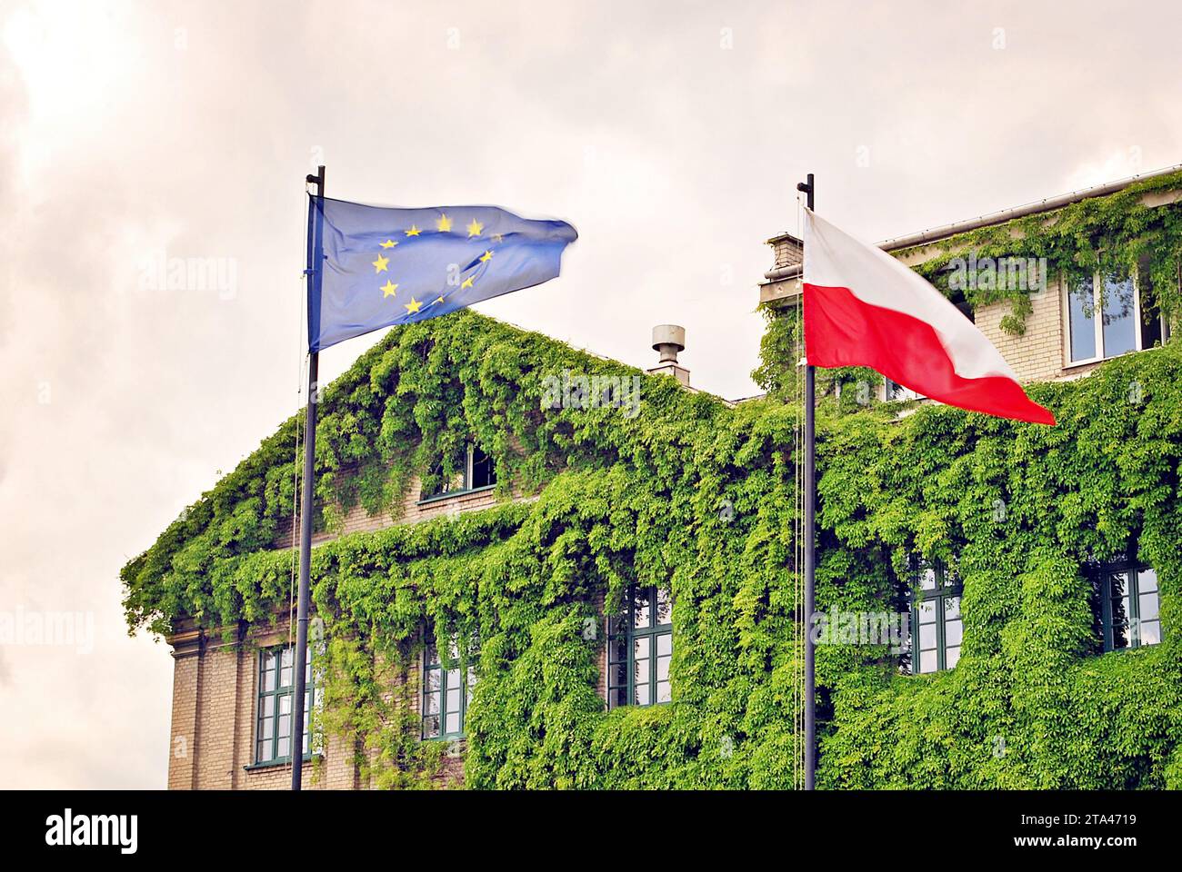 Green Living Tech Pioneers Vertical Farming Excellence