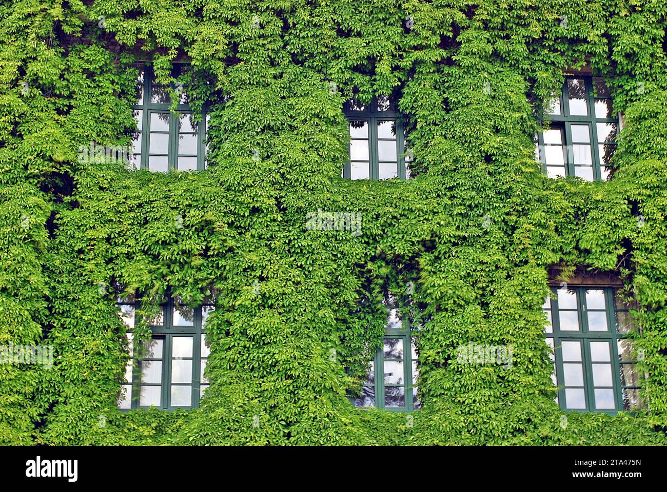 View of Green Infrastructure Drives Shared Purpose - LinkedIn