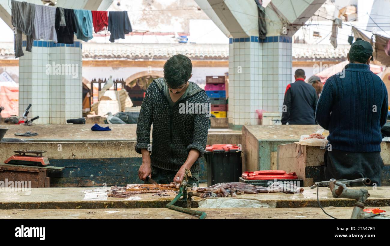 Essaouira, Morocco 17 September 2022 Moroccan fisherman skillfully