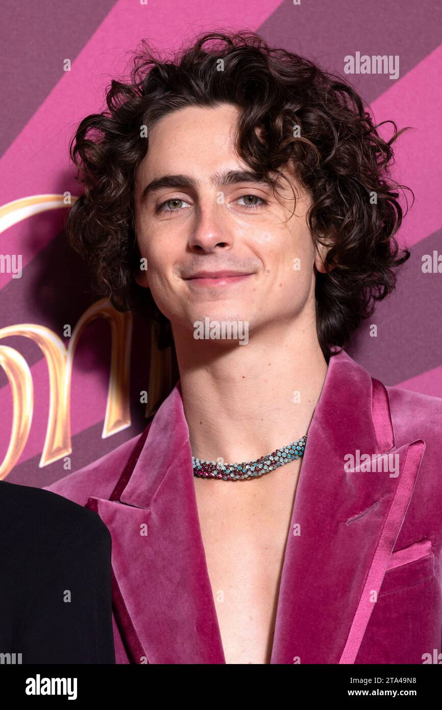 Timothee Chalamet poses for photographers upon arrival at the world ...