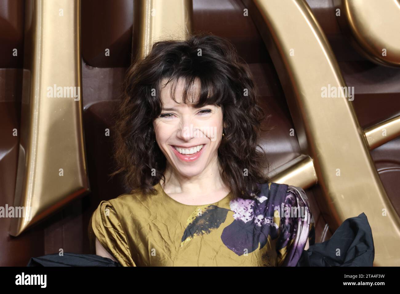 Sally Hawkins WONKA World Premiere Royal Festival Hall London UK Sally Hawkins WONKA World Premiere Royal Festival Hall London UK