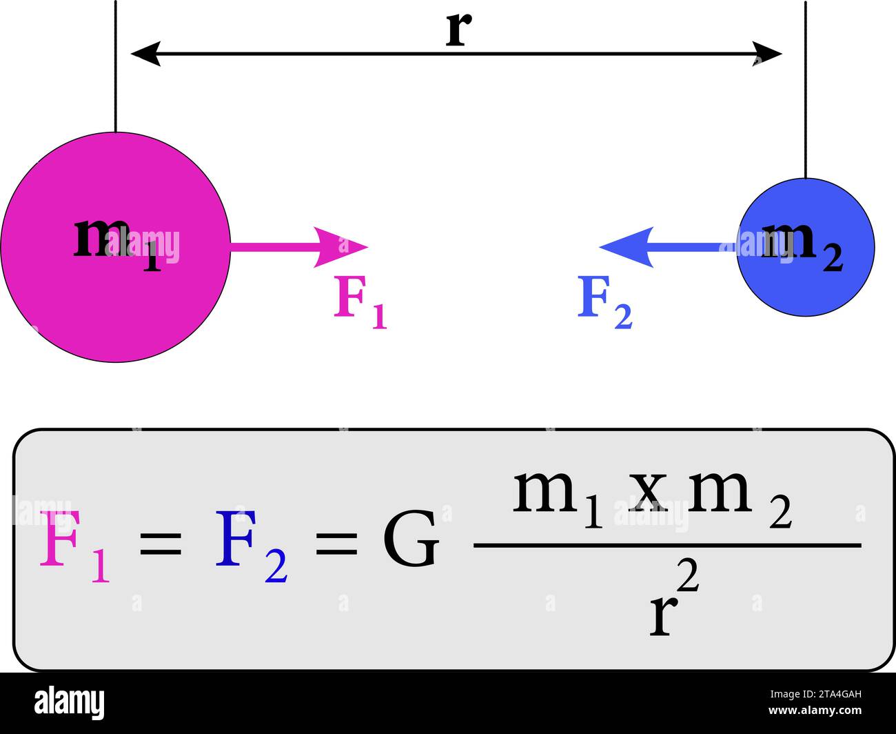 A diagram describes the mechanisms of Newton's law of universal gravitation .Vector illustration. Stock Vector