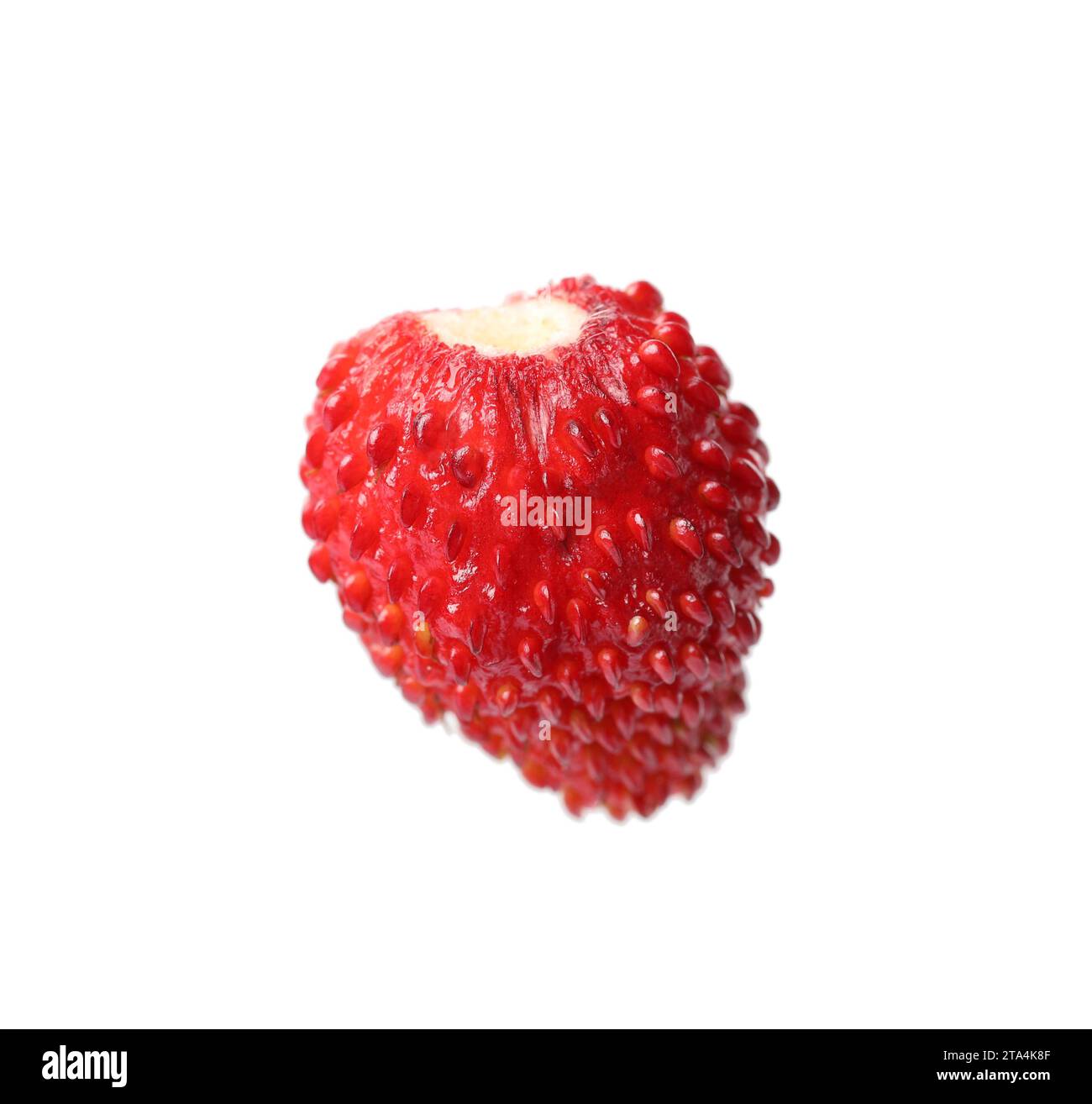 One ripe wild strawberry isolated on white Stock Photo - Alamy