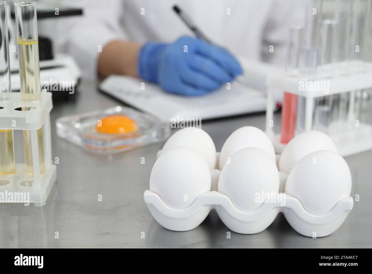 Scientist proceeding quality control in laboratory, focus on fresh eggs Stock Photo