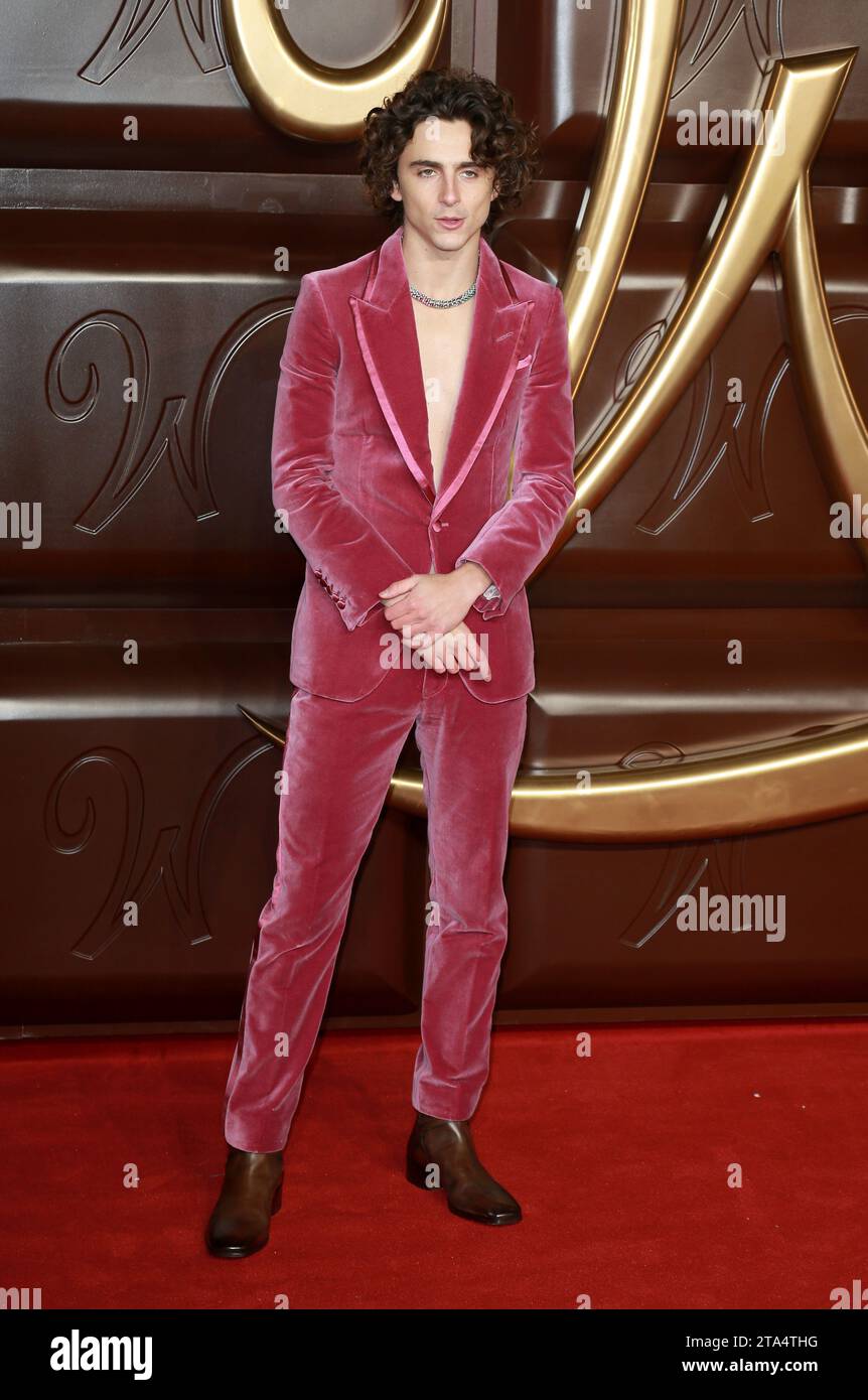 London, UK. 28th Nov, 2023. Timothee Chalamet attends the 