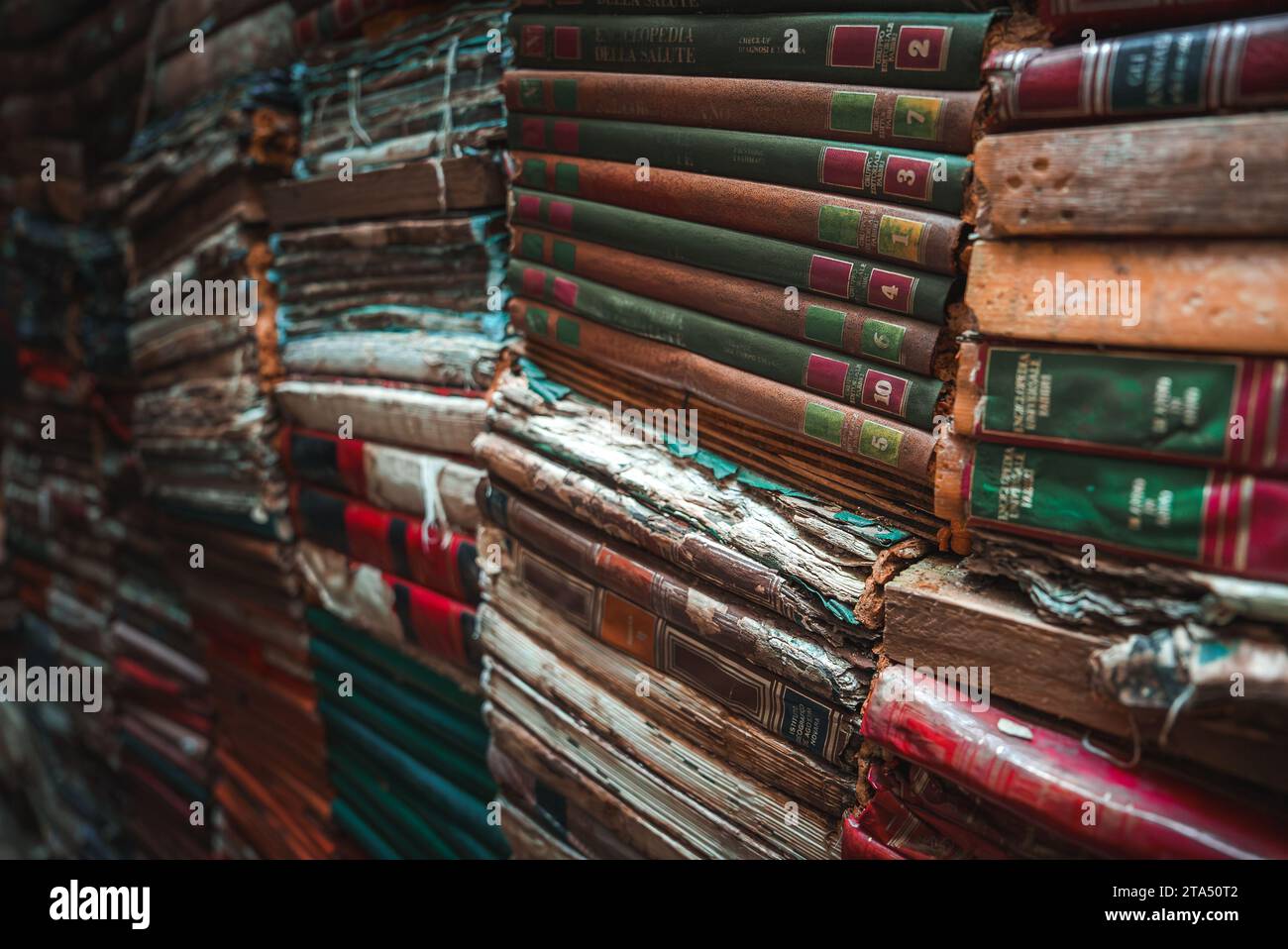 Dark Literature and Fiction Book Stack in Cluttered Room with