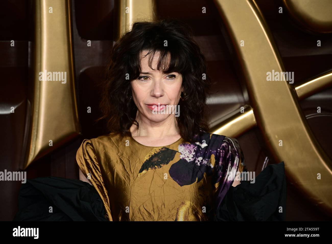 London, UK. 28th Nov, 2023. Sally Hawkins attends the Warner Bros