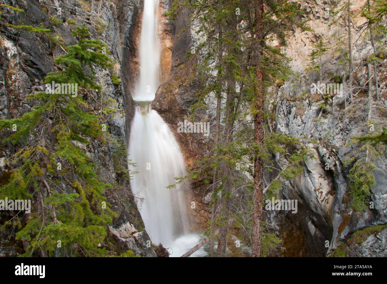 Silverton Falls, Banff National Park, Alberta, Canada Stock Photo Alamy