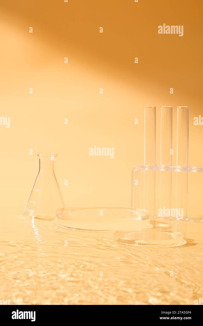 Few test tubes on the rack displayed with an erlenmeyer flask and glass