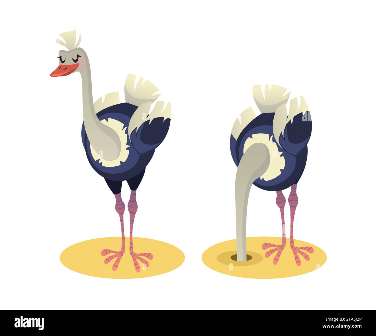 Ostrich buried his head in sand. Jungle or zoo bird in horror and