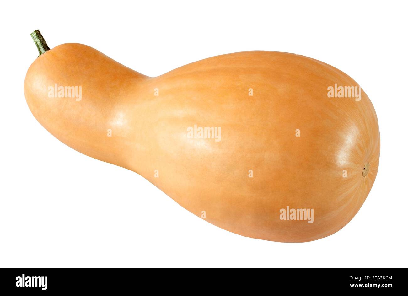 whole pumpkin isolated on white background with clipping path Stock ...