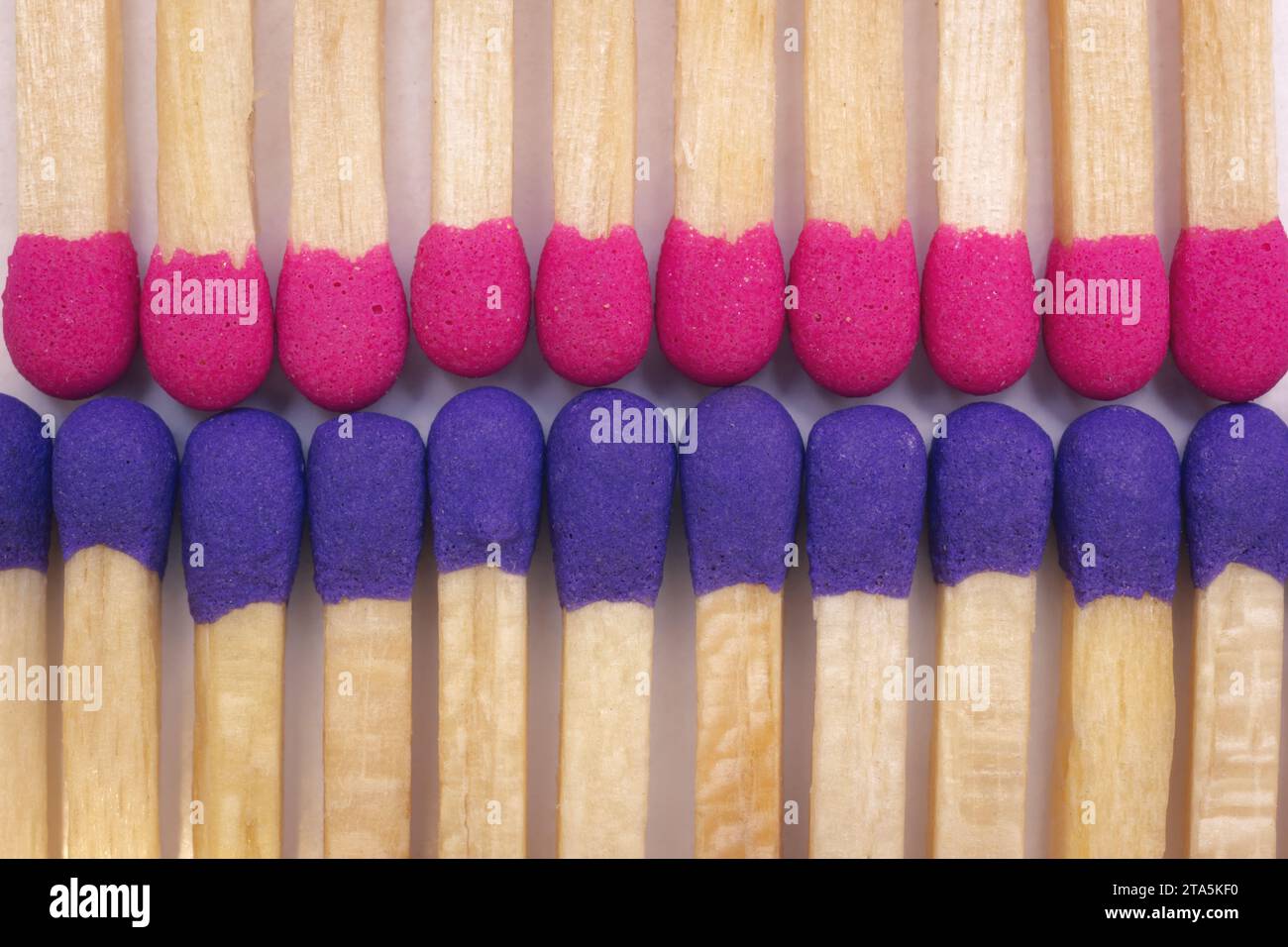 Pink And Blue Safety Matches. Concept Of The Confrontation And Flammable Conflict. Macro Photography. Stock Photo