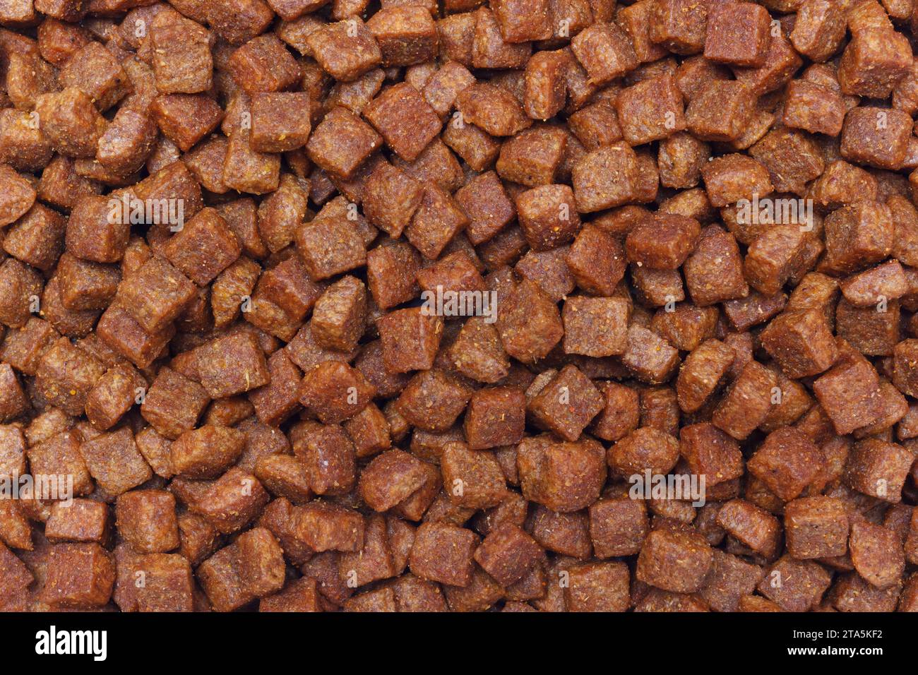 The Dried Feed Nutriment For Pet. Granulated Mix Of Vitamins And Proteins For Dogs And Cats. The Food For Domestic Animals. Macro Photography, Solid F Stock Photo