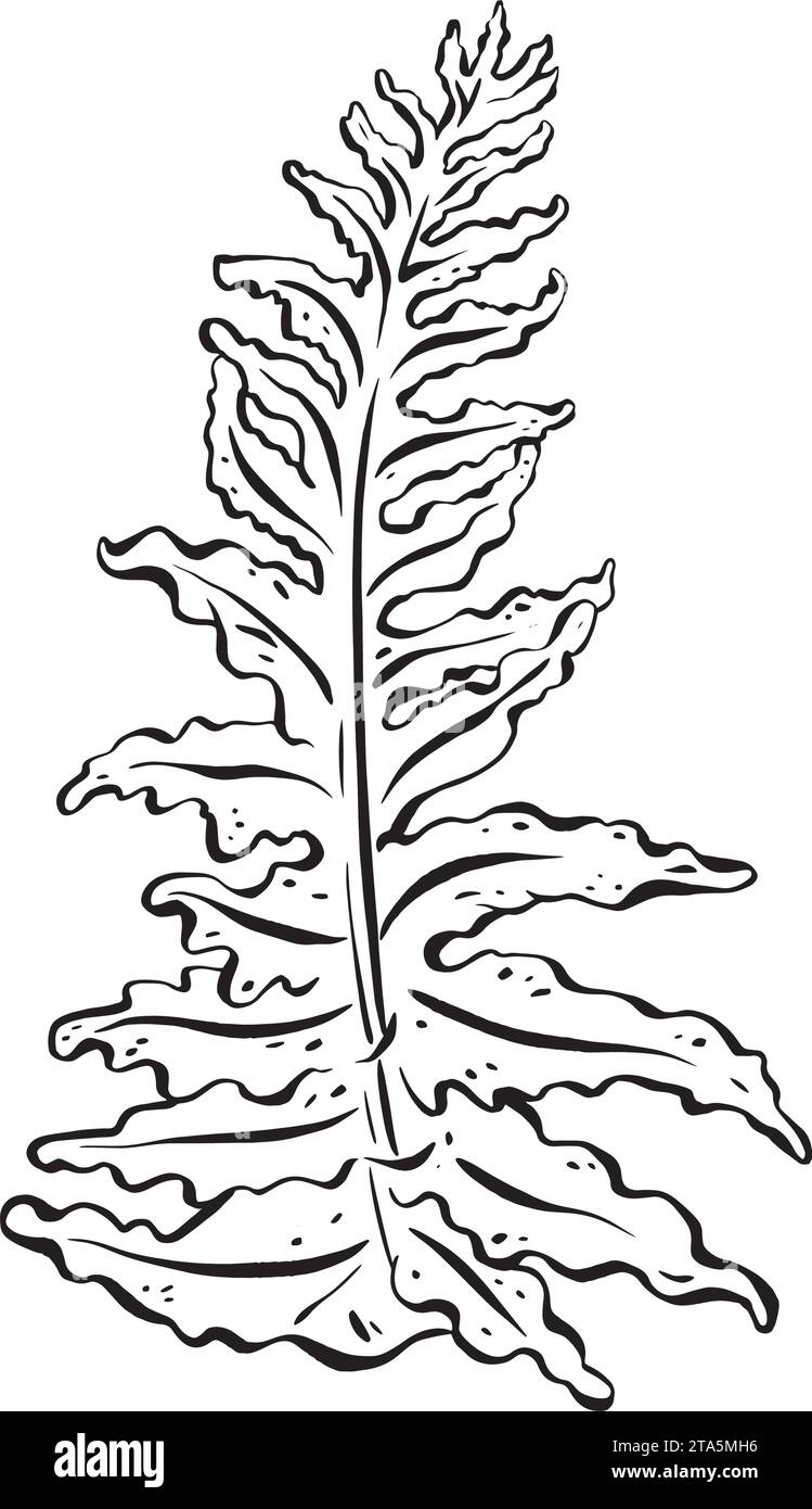 Ink Elegant leaf contour featuring a gracefully detailed fern