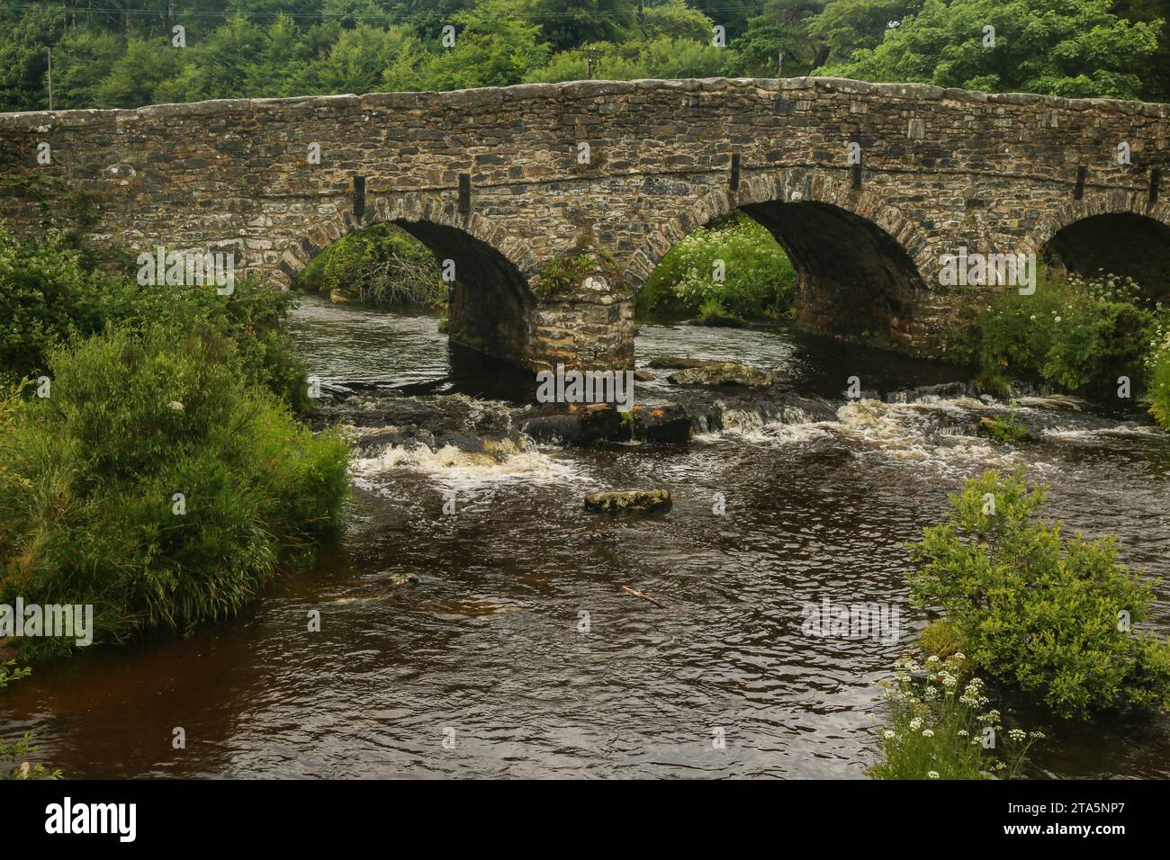 Old stone bridge and wild river in Dartmoor National Park, Devon, England Stock Photo