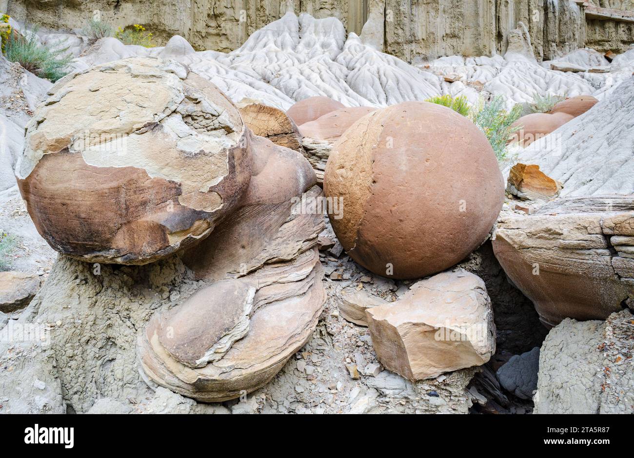 Large Spherical Boulder Rocks Also Known as Concretions at Theodore ...