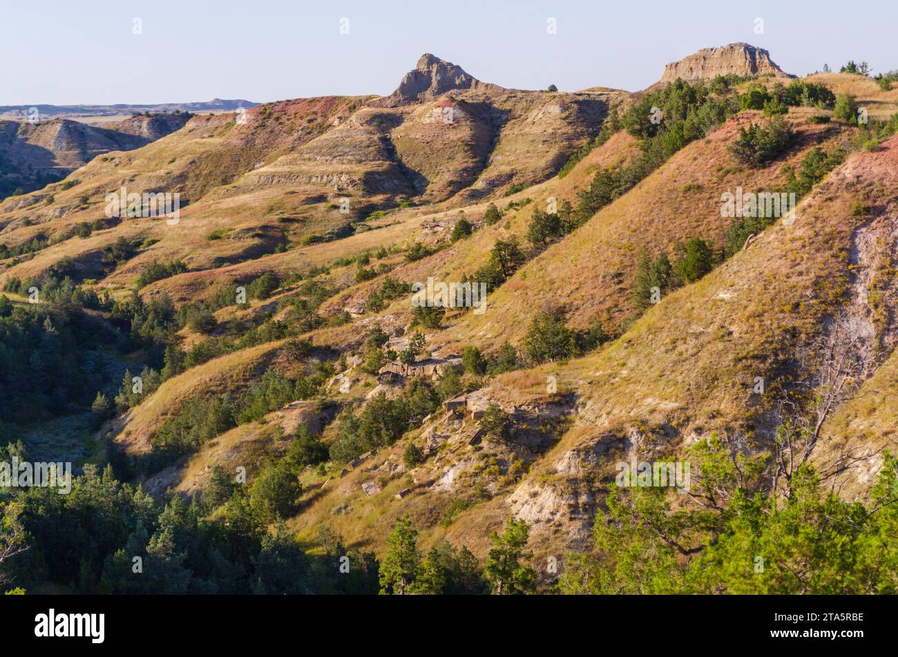 Prairie Grasslands of Theodore Roosevelt National Park in North Dakota