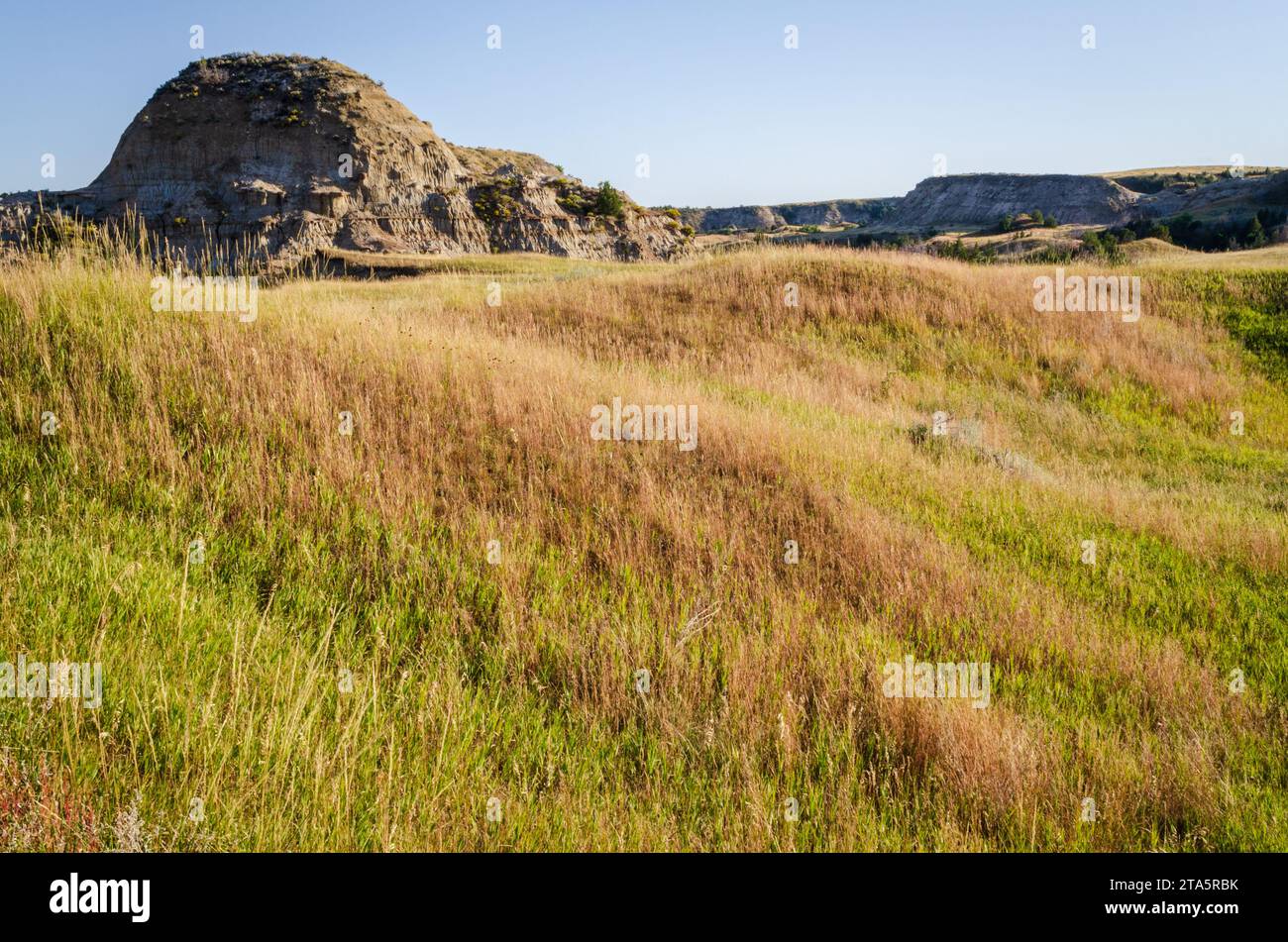 Prairie Grasslands of Theodore Roosevelt National Park in North Dakota