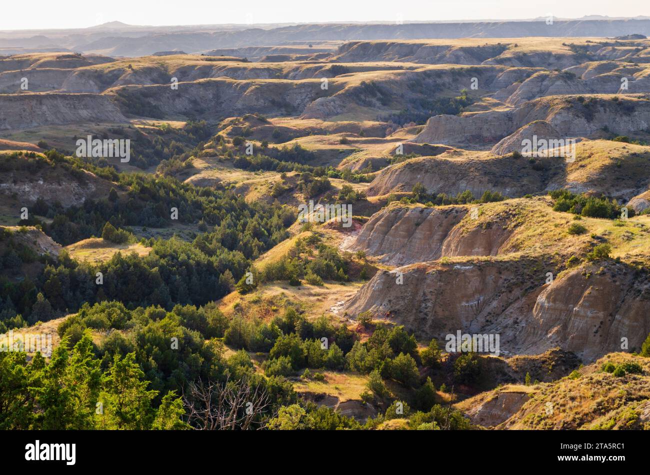 Badlands at Theodore Roosevelt - Badlands At Theodore Roosevelt National Park In Western North Dakota 2TA5RC1 