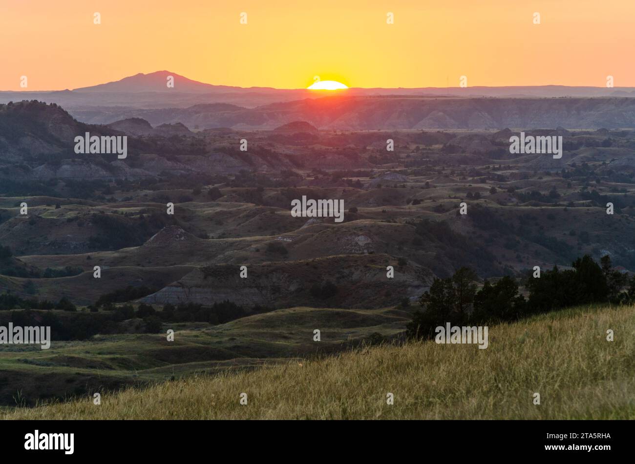 Prairie Grasslands of Theodore Roosevelt National Park in North Dakota