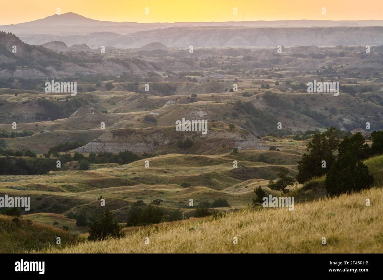 Prairie Grasslands of Theodore Roosevelt National Park in North Dakota