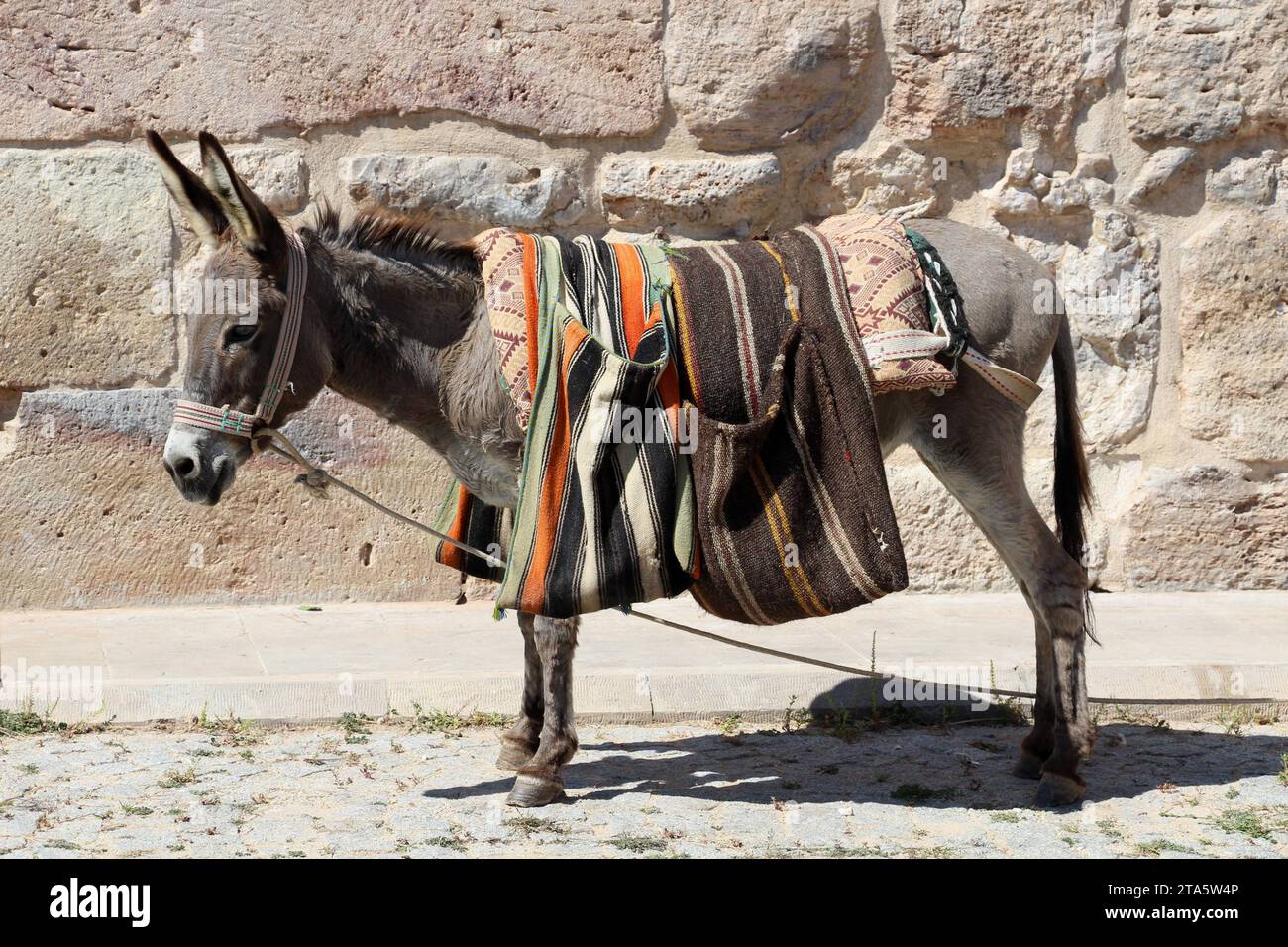 A donkey with two saddlebags on its back. Konya, Turkey Stock Photo - Alamy