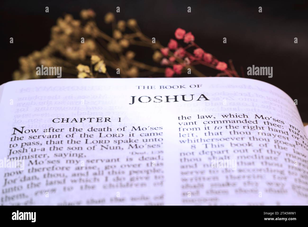 The book of Joshua of Holybible book for background and study of many concept idea Stock Photo