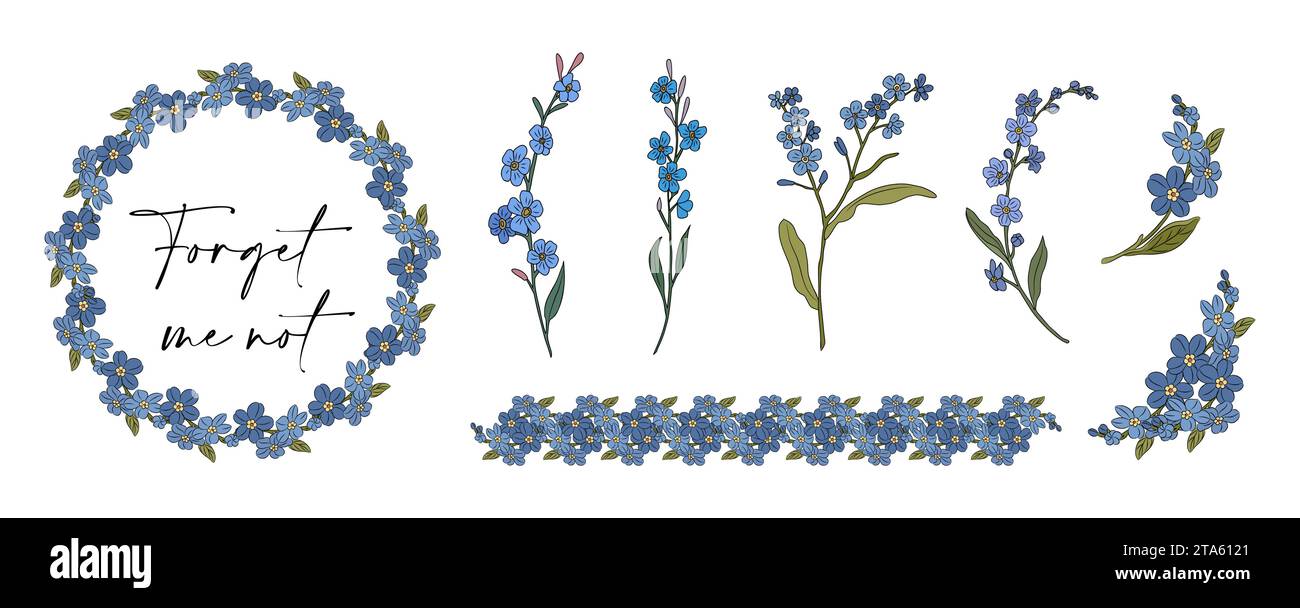 Set of me not flowers vector isolated Stock Vector Image & Art