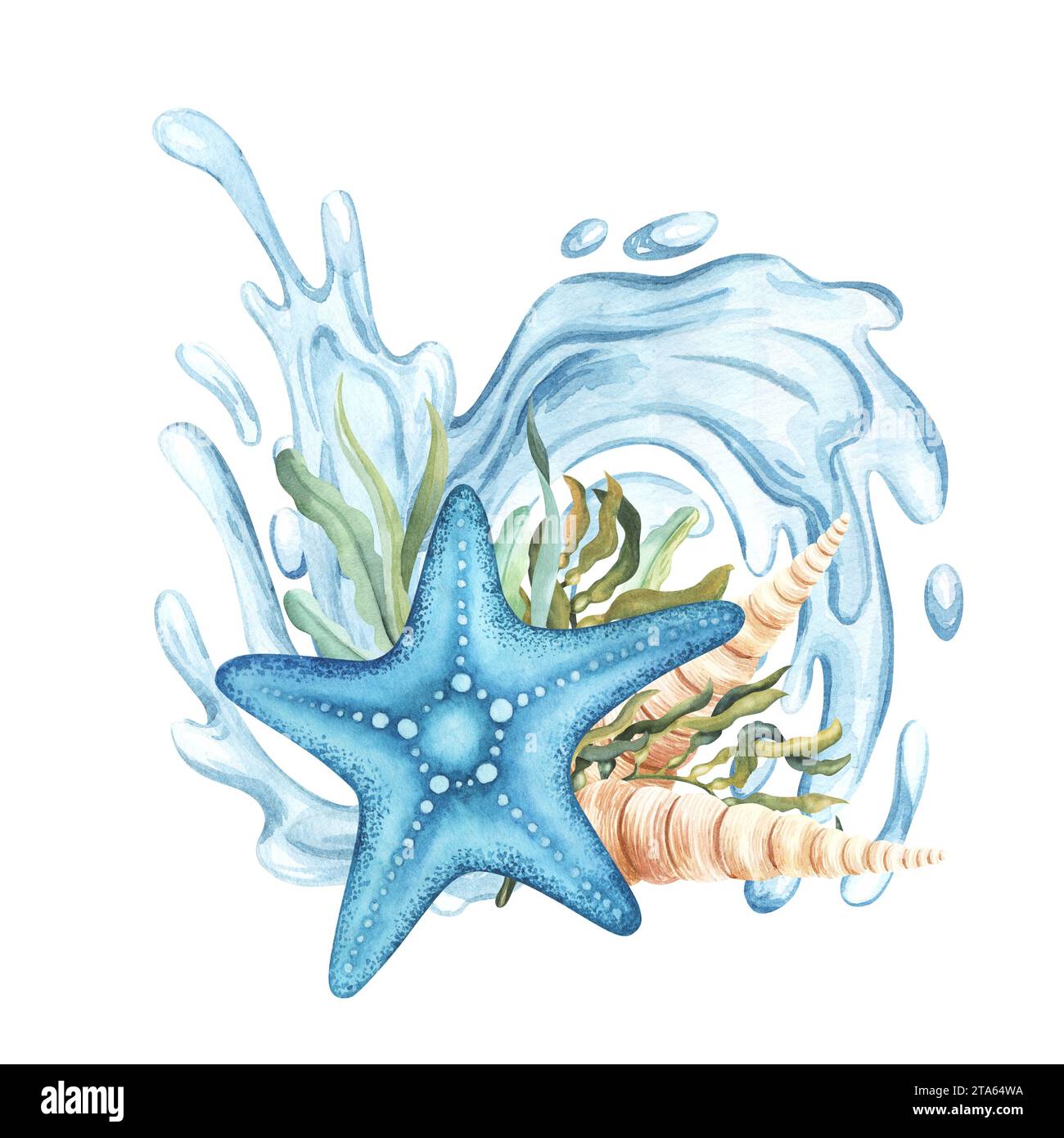 Starfish composition with algae seaweed kelp and water splash ...