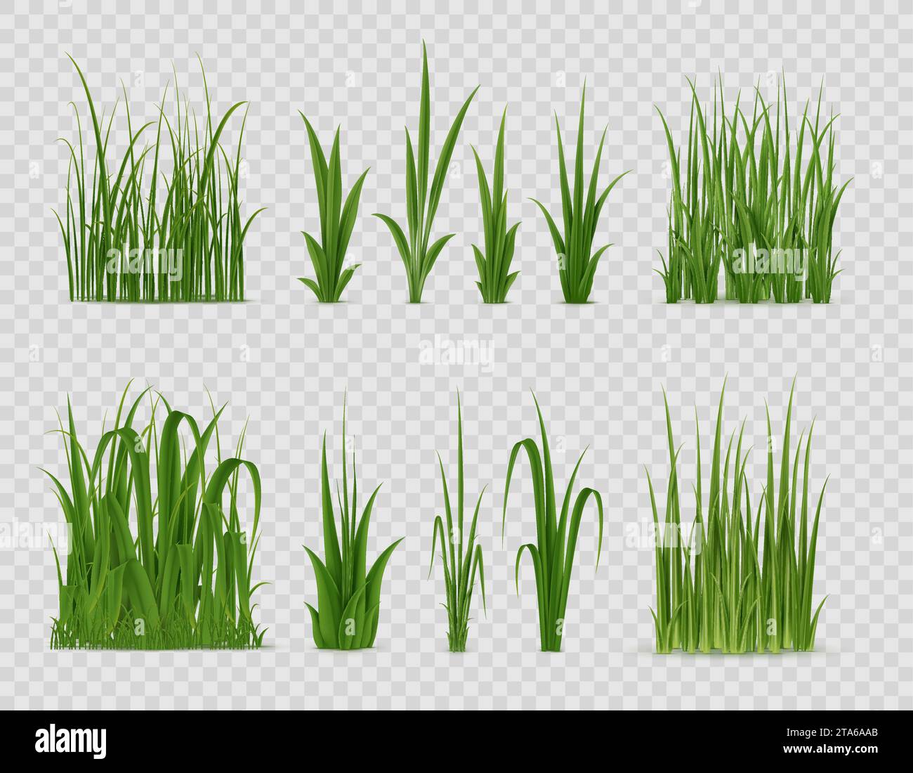 Realistic green grass. Field sprouts vegetation, meadow realistic grass. Garden, yard or park lawn, pasture isolated sedge or reed plant, farm rice or wheat leaves, Easter 3d vector leaf borders Stock Vector