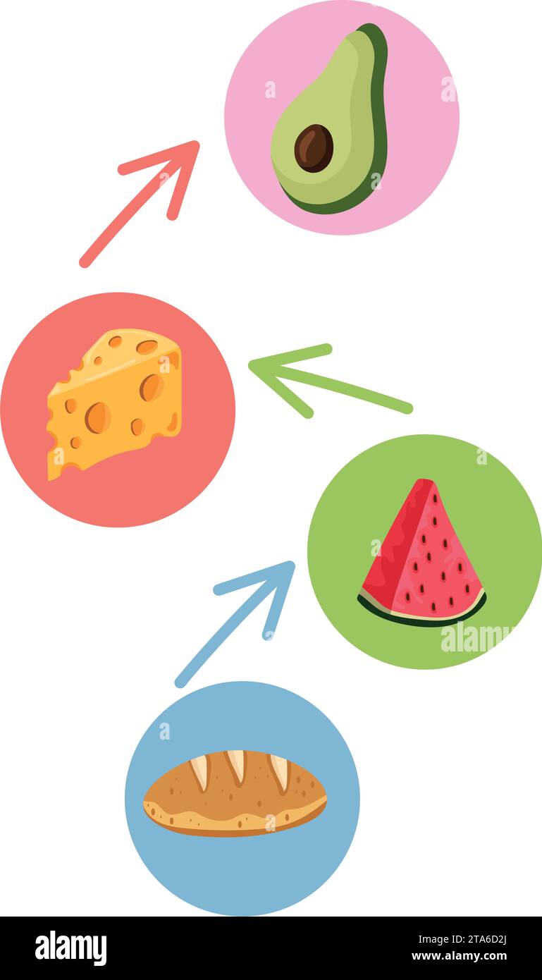 nutritional products in food chain vector isolated Stock Vector Image ...